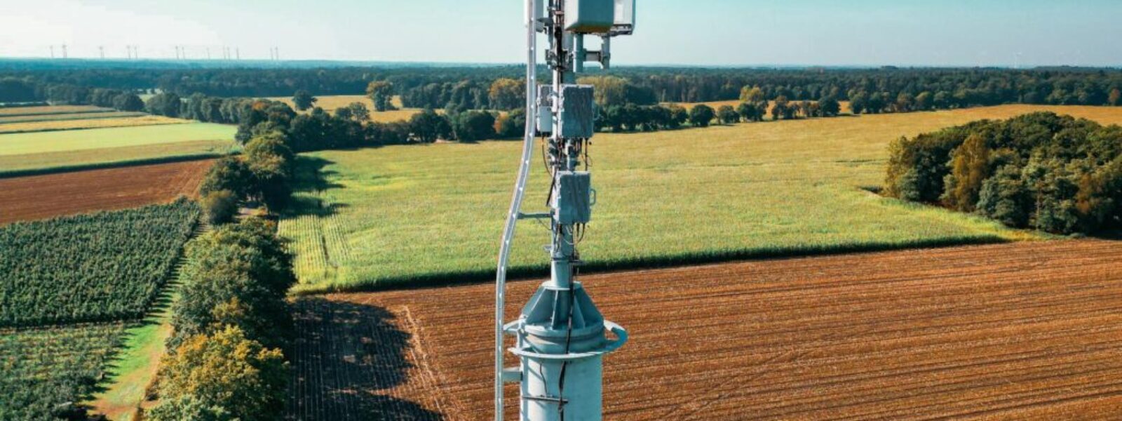 ChatGPT regional adoption — Chat GPT