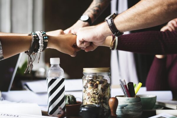 Claude Chat cowork regulations — Claude Chat & Cowork