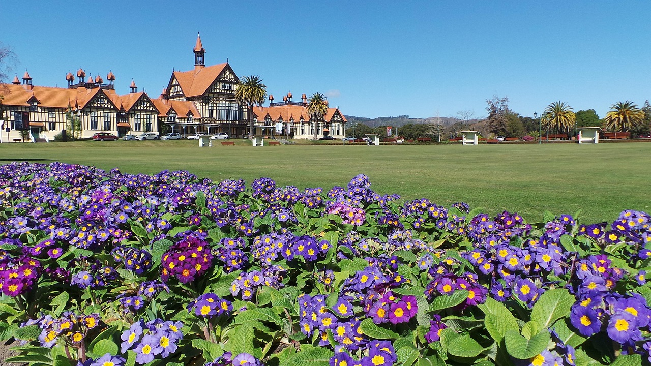 laptop reviews NZ New Zealand