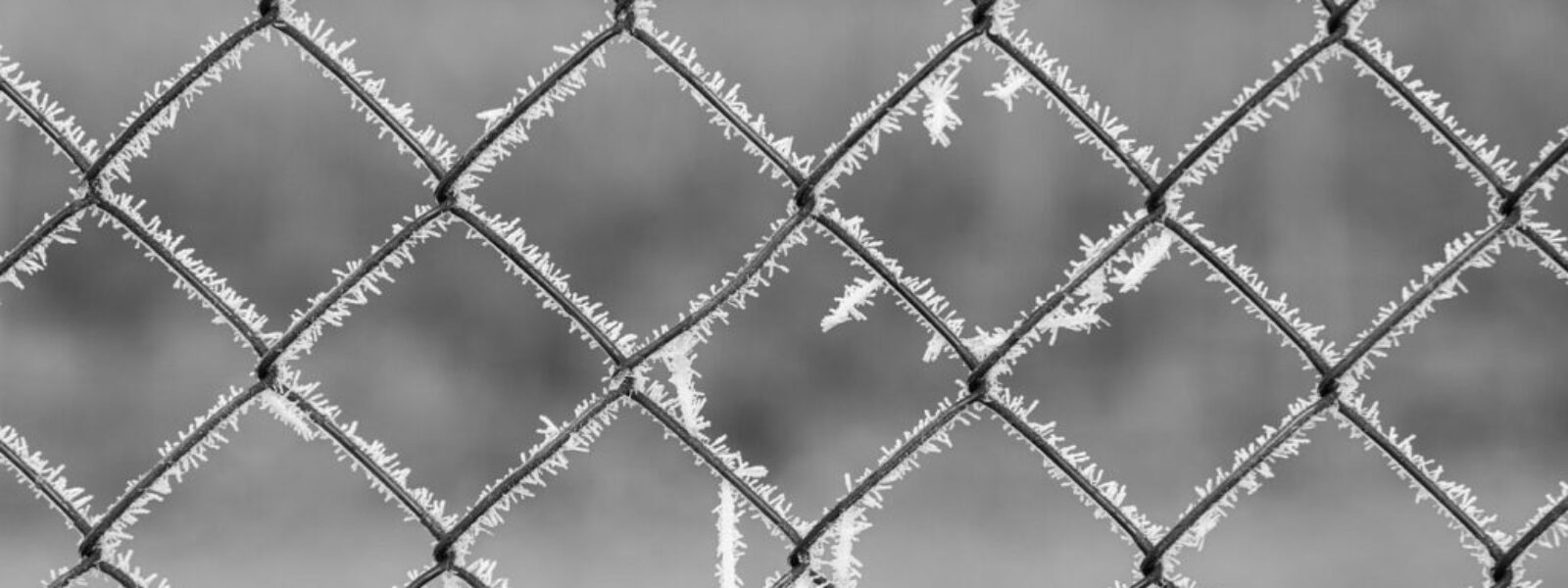 quantum computing breakthrough — NZ Tech Breakthroughs