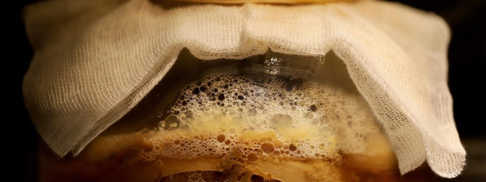 carbon recycling technology — NZ Tech Breakthroughs