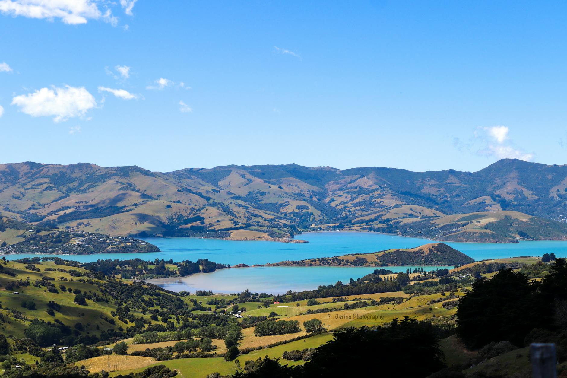 SaaS reviews New Zealand New Zealand