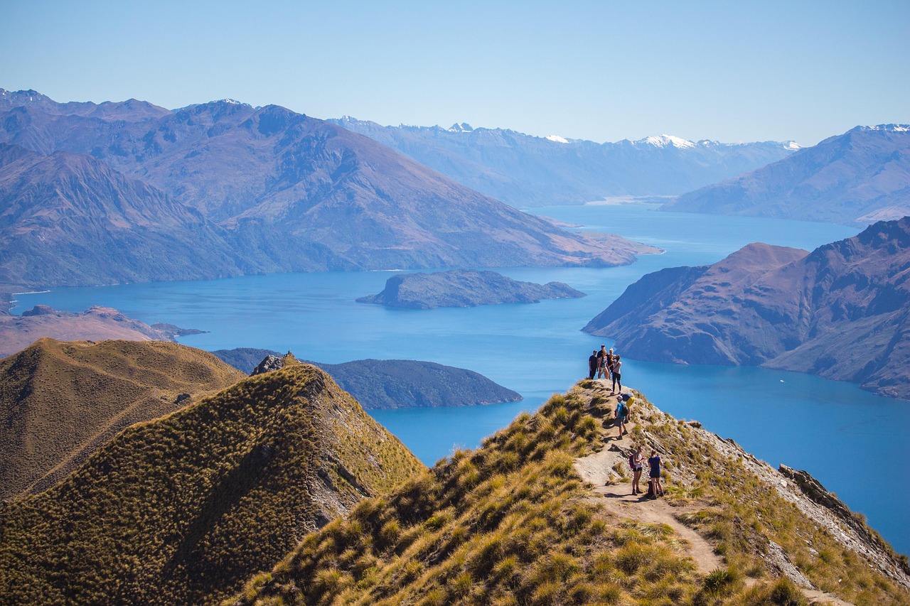 marketing automation ROI New Zealand